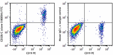 FITC anti-human CD32B/C