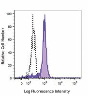 FITC anti-human CD33