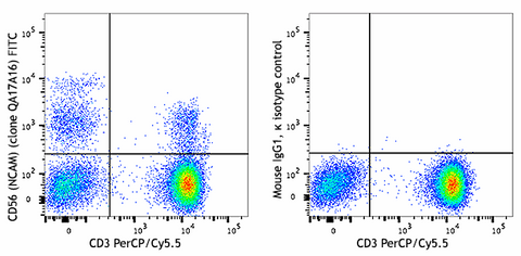 FITC anti-human CD56 (NCAM) Recombinant