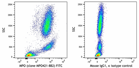 FITC anti-human MPO