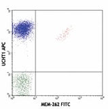 FITC anti-human TCR Vβ5 related subset