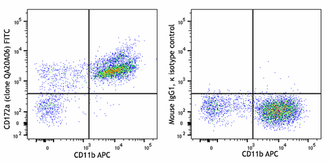 FITC anti-mouse CD172a (SIRPα) Recombinant