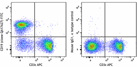 FITC anti-mouse CD19 Recombinant