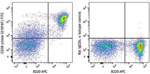 FITC anti-mouse CD38