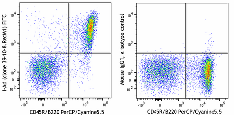 FITC anti-mouse I-Ad Recombinant