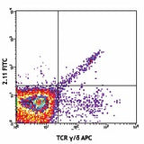 FITC anti-mouse TCR Vγ1.1/Cr4