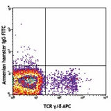 FITC anti-mouse TCR Vγ1.1/Cr4