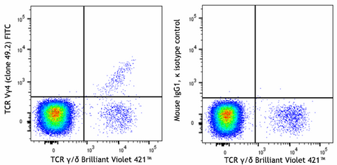 FITC anti-mouse TCR Vγ4