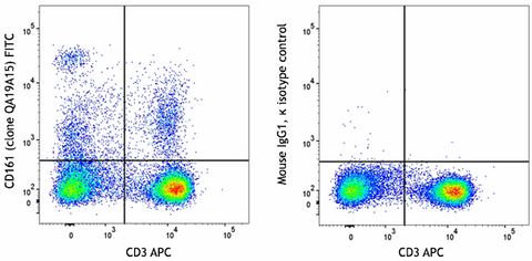 FITC anti-rat CD161 Recombinant