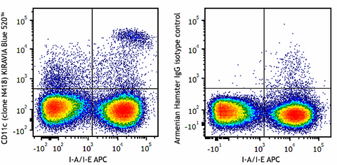 KIRAVIA Blue 520™ anti-mouse CD11c