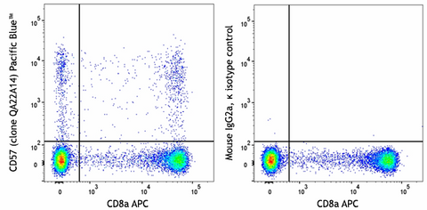 Pacific Blue™ anti-human CD57 Recombinant