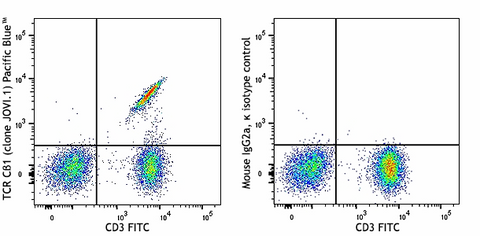 Pacific Blue™ anti-human TCR Cβ1