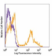 Pacific Blue™ anti-mouse TER-119/Erythroid Cells