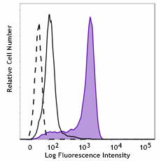 PE anti-CREB1 Phospho (Ser133)