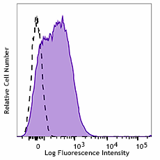 PE anti-human CD107a (LAMP-1)