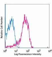 PE anti-human CD107a (LAMP-1)