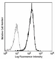 PE anti-human CD11c