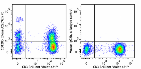 PE anti-human CD120b