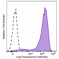 PE anti-human CD138 (Syndecan-1)