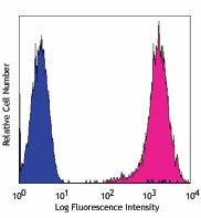 PE anti-human CD146 (MUC18, Mel-CAM)