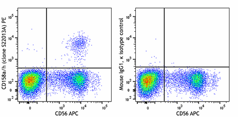 PE anti-human CD158a/h (KIR2DL1/KIR2DS1)