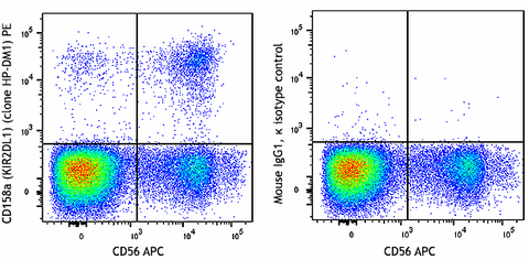 PE anti-human CD158a (KIR2DL1)