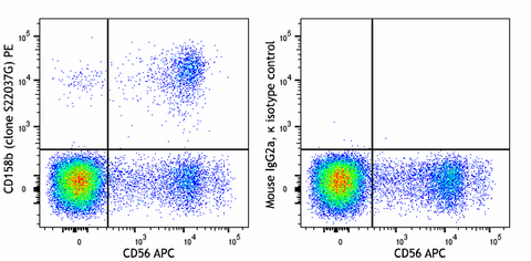 PE anti-human CD158b (KIR2DL2/KIR2DL3)
