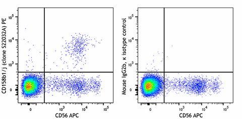 PE anti-human CD158b1/j (KIR2DL2/KIR2DS2)