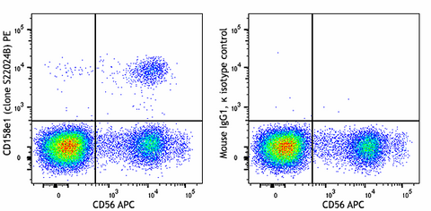 PE anti-human CD158e1 (KIR3DL1, NKB1)