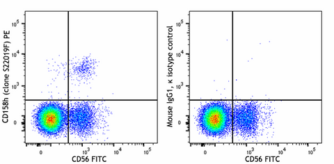 PE anti-human CD158h (KIR2DS1)