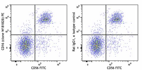 PE anti-human CD16