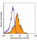 PE anti-human CD166