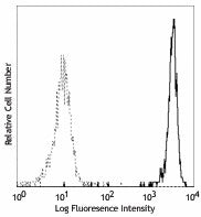 PE anti-human CD181 (CXCR1)