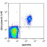 PE anti-human CD1d