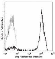 PE anti-human CD2