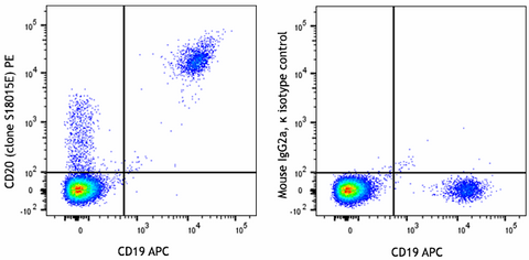 PE anti-human CD20