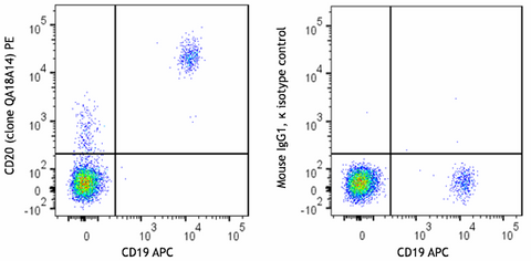 PE anti-human CD20 Recombinant