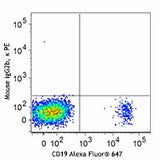 PE anti-human CD22