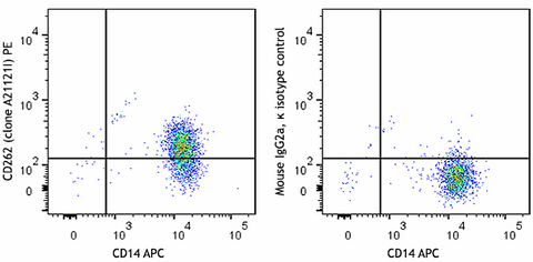 PE anti-human CD262 (DR5, TRAIL-R2)