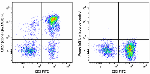 PE anti-human CD27 Recombinant