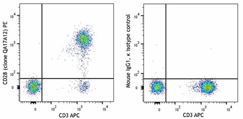 PE anti-human CD28 Recombinant