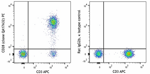 PE anti-human CD28 Recombinant