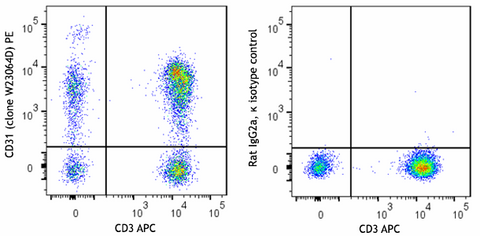PE anti-human CD31