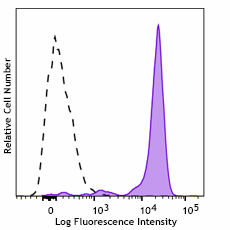 PE anti-human CD33