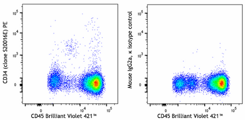 PE anti-human CD34