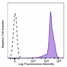 PE anti-human CD44