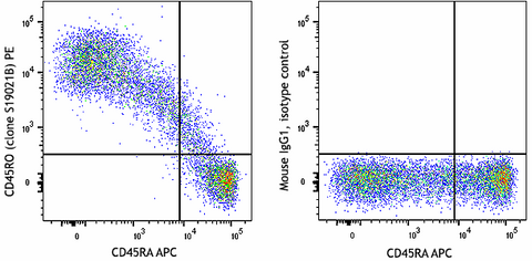 PE anti-human CD45RO