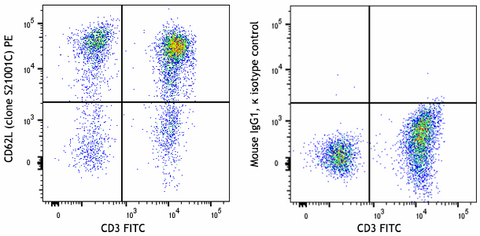 PE anti-human CD62L