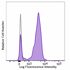 PE anti-human CD64