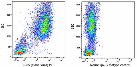 PE anti-human CD65